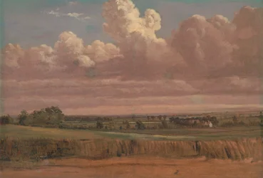 Paysage avec champ de blé